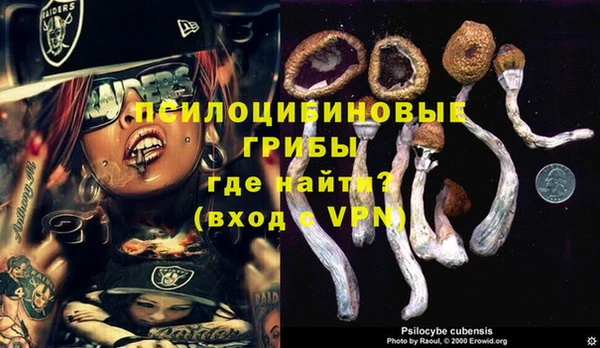 прущие крисы Пересвет