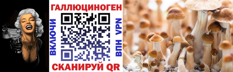 Галлюциногенные грибы Psilocybine cubensis  Сольцы 